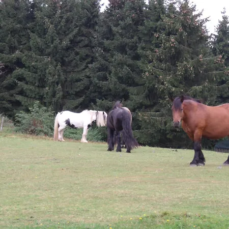 Haus Seasons 빈터베르크