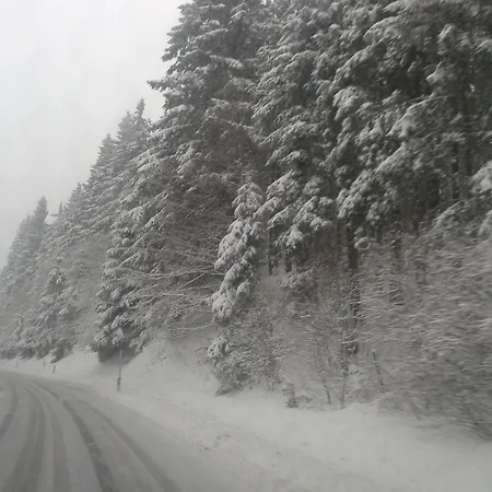 Seasons Winterberg