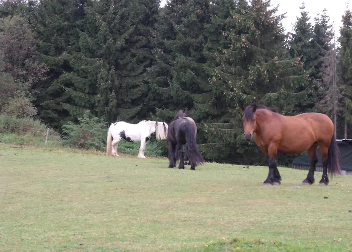 Haus Seasons Βίντερμπεργκ